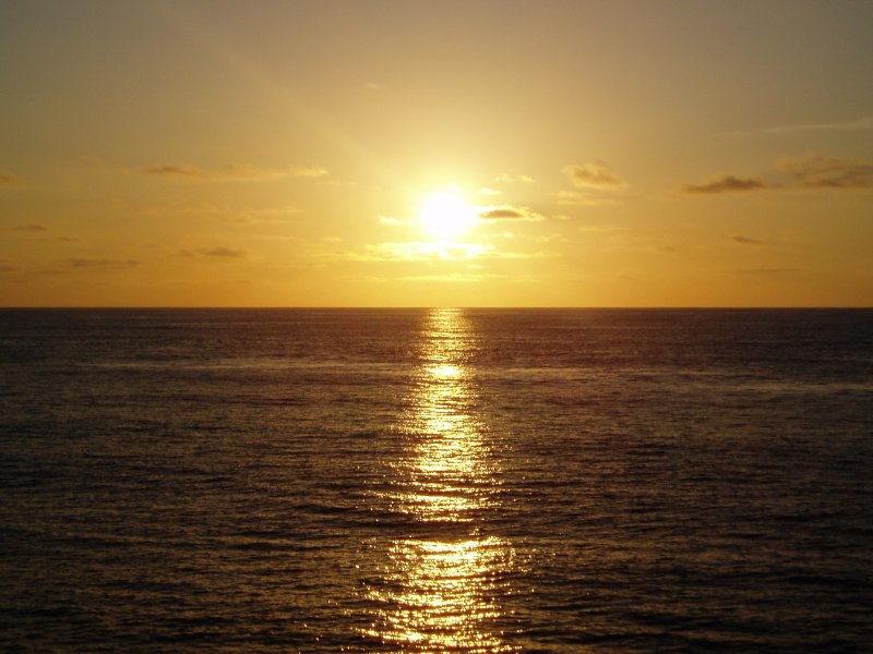 Field Work olympus digital camera