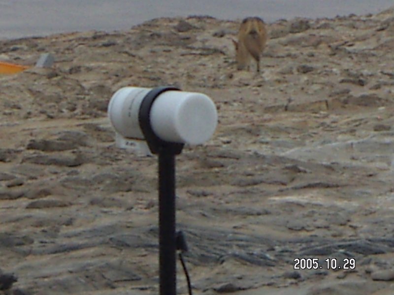 Field Work konica minolta digital camera