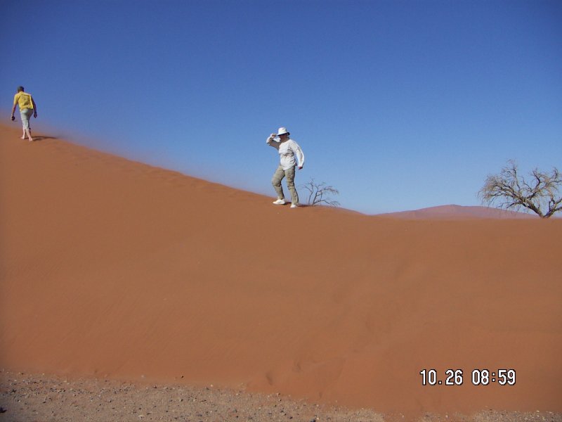 Field Work konica minolta digital camera