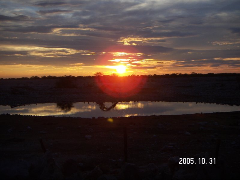 Field Work konica minolta digital camera