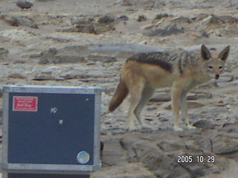 Field Work konica minolta digital camera